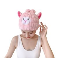 [Durable and practical] Internet celebrity new dry hair cap polyester brocade coral velvet cartoon animal embroidery dry hair towel absorbent and quick-drying turban shower cap