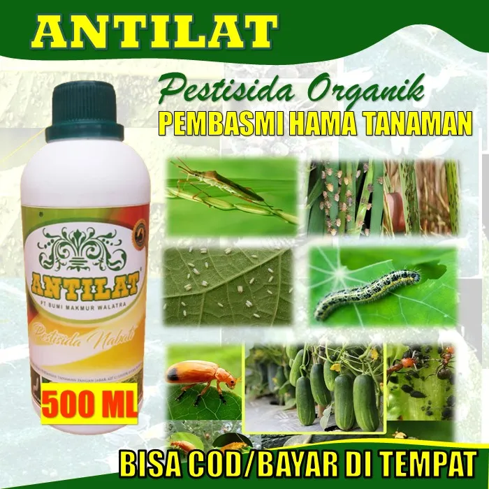 Antilat Pestisida Organik Untuk Semua Tanaman Atasi Lalat Buah Kutu Kebul Ulat Grayak Ulat 5015