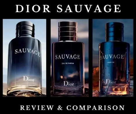 Tổng hợp với hơn 58 về dior sauvage parfum vs edt mới nhất  Du học Akina