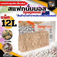 สแฟกนั่มมอส (sphagnum moss) มอสขาว แท้100% เกรดพรีเมี่ยม แพ็ค12ลิตร/150กรัม ปลูกพืช เลี้ยงสัตว์ มอสแห้ง อุ้มน้ำ วัสดุปลูก พร้อมส่ง