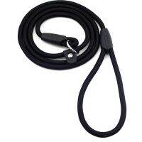 Practical Sturdy Pet Collar Rope Nylon Dog Slip Training Walking Lead With P Chain 1Cm