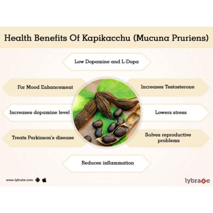 mucuna-certified-organic-สารสกัดเมล็ด-หมา-มุ่ย-ออแกนิค-250-mg-60-vegetarian-capsules-paradise-herbs-velvet-bean