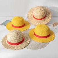 New Straw Hat Cartoon Cosplay Performance Caps Accessories Summer Sun Hat Sunshade Parent-Child Hat for Women Men