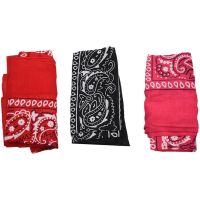 Set of 3 bandanas Paisley Man and Woman 57 x 57 cm