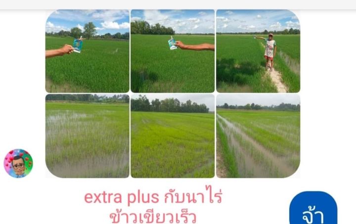 extra-plus-เอ็กตร้าพลัส-1-ซองใหญ่แถมเสื้อ-ส่งฟรี-ฮอร์โมนพืช-อาหารเสริมพืช-เร่งผลผลิต-เร่งใบ-เร่งดอก-โตไว-แข็งแรง-ปลอดภัยไร้สารพิษ