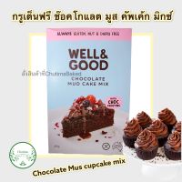 (16/10/22)Well &amp; Good Chocolate Mud Cake Mix (with Choc Frosting) 475g. แป้งทำขนม ช็อกโกแลตโคลนเค้กมิกซ์ กลูเตนฟรี (ผสม ฟรอสติ้ง ช็อกโกแลต) 475g