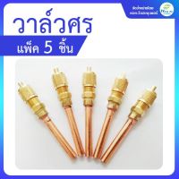 ว้าววว วาล์วลูกศรทองเหลือง 1/4 บรรจุ 5 ชิ้น วาล์วศรแอร์ คุ้มสุดสุด วาล์ว ควบคุม ทิศทาง วาล์ว ไฮ ด รอ ลิ ก วาล์ว ทาง เดียว วาล์ว กัน กลับ pvc