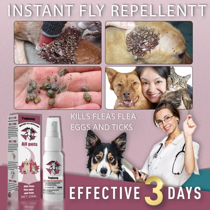 anti tick and flea killer for dogs spray with soap sneaky paws dog