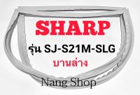 ขอบยางตู้เย็น SHARP รุ่น SJ-S21M-SLG (บานล่าง)