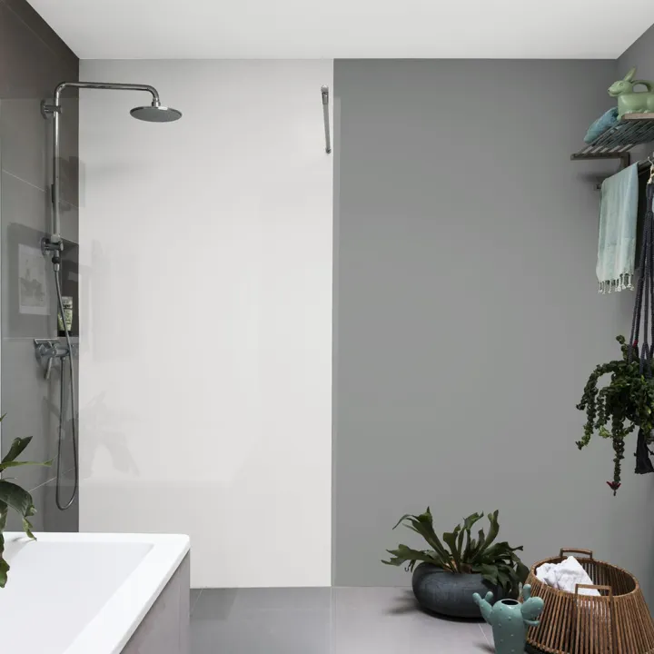 Dulux Pentalite AntiMould Interior Wall Paint Smooth Matt Finish