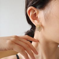 【cw】 Women 39;s Earrings 2022 New Korean Temperament Personality Online Fireworks Needle Studded