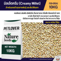 (10KG) มิลเล็ตครีม Creamy Millet เกรด A อาหารนกแก้ว และสัตว์ฟันแทะ สะอาด ร่อนฝุ่นทุกถุง