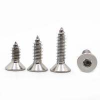 M2 M2.6 M3 M4 M5 M6 Countersunk Head Hexagon Socket Tapping Screw 304 Stainless Steel Flat Allen Head Wood Screw