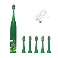 Children Electric Toothbrush Cartoon Pattern Sonic Cleaning IPX7 Waterproof Replacement Brush Heads USB Charger Smart Timer