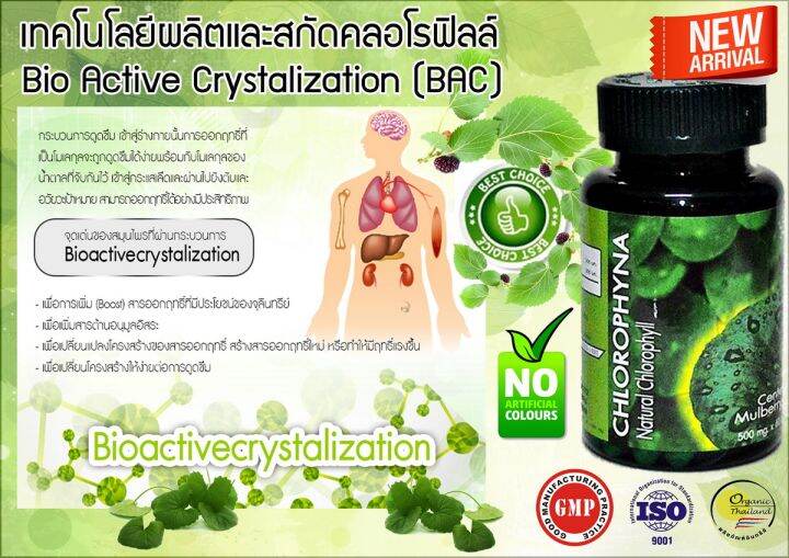 คลอโรฟิน่า-คลอโรฟิลล์-chlorophyna-อาหารเสริมดูแลระบบเลือด-เช่น-เรื่องโรคโลหิตจาง-แผลโรคกระเพราะลำไส้อักเสบ-บำรุงโลหิต