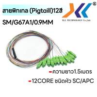 [พร้อมส่งจากไทย] สายไฟเบอร์ออฟติกพิกเทล (Pigtail) Fiber Pigtail  12Core SC/APC เเละ SC/UPC / SM / G657A1 / 0.9mm / 1.5m