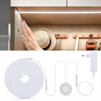 DC24V COB LED Neon Light Strip With Dimmable Penetrable Wood Mirror Acrylic Wireless Touch Switch Room Kitchen Night Lamp Decor