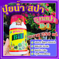 ปู๋ยน้ำ ปุ๋ยบำรุงพืช สปา รูทสปา B-1 250 ml. ? น้ำยาเร่งราก ฟื้นฟูราก สำหรับชำกิ่ง เสียบยอด ติดตา และต้นไม้ที่เปลี่ยนกระถางใหม่?