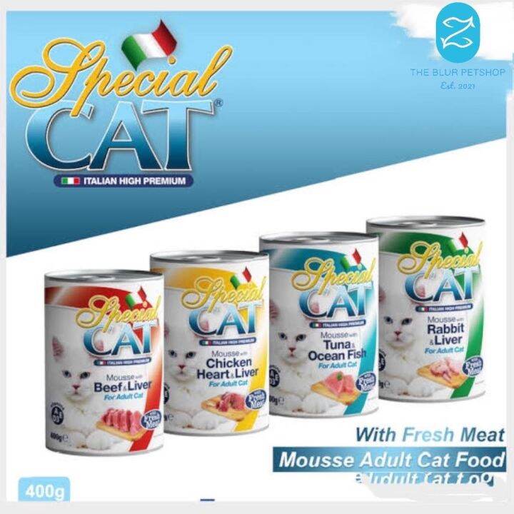 Special Cat Can Food Mousse Wet Cat Food 400g Cat Essential Lazada PH