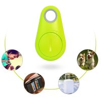 【CW】 Alarm Key Child Pet Finder Mini GPS Tracking Device Auto Car Pets Kids Motorcycle Locator with Battery Anti-lost Tracker