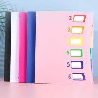 ♂ New 5 colors Multi-Page File Folder A4 PP Holder Storage Bag Plastic Budget Binder For Documents Desk Stationery Filing Products