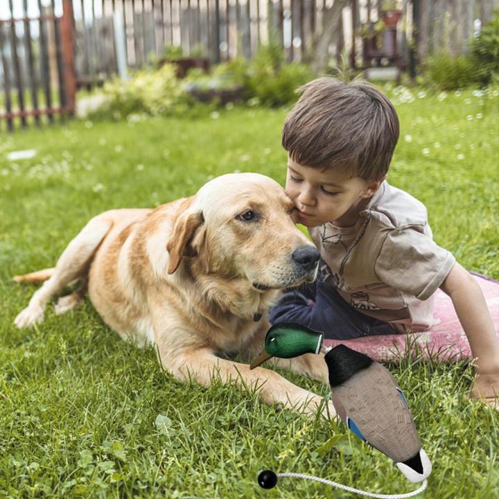 จำลองการฝึกอบรมกันชนเป็ดตายสำหรับลูกสุนัขหรือสุนัขล่าสัตว์เกมการสอนดึงของเล่นสุนัข-dummies-เป็ด