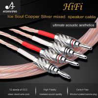 HIFI Speaker Cable Hi-end Speaker Cord with Carbon Fiber Banana plug and Y plug