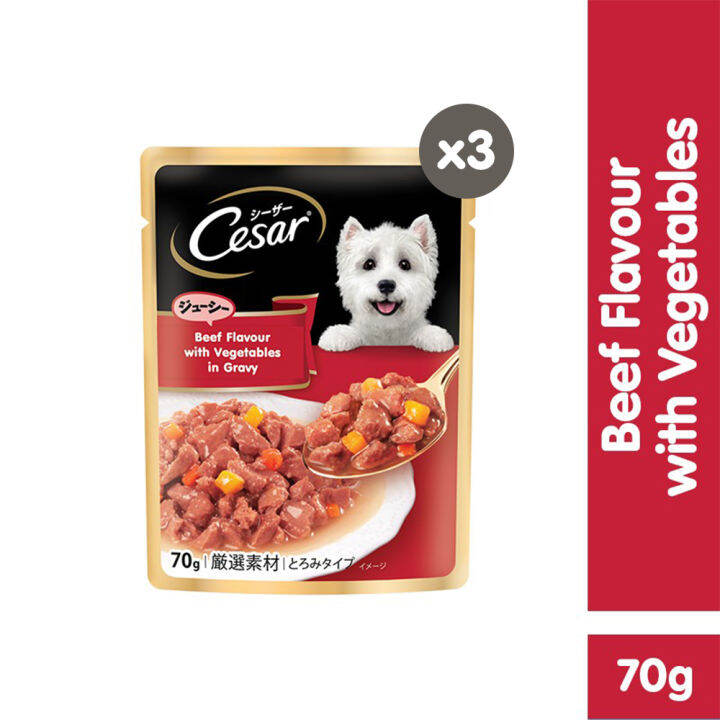 CESAR Dog Wet Food Pouch Premium Dog Food for Adult Dogs in Beef