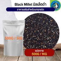 สุดยอด Black Millet มิลเล็ตดำ อาหารนก กระต่าย หนู กระต่าย กระรอก ชูก้า และสัตว์ฟันแทะ (แบ่งขาย 500G / 1KG)