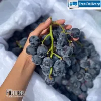 [สินค้าพร้อมจัดส่ง]⭐⭐องุ่นดำกลม (1กก) Moon Drops Grape (นำเข้า) Sweet Sapphire Black Grape ~ลดพิเศษ~ผลไม้นอก องุ่นดำ องุ่นนอก องุ่นนำเข้า[สินค้าใหม่]จัดส่งฟรีมีบริการเก็บเงินปลายทาง⭐⭐