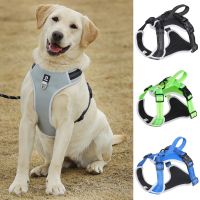 Dog Adjustable Harness Vest Chest Harness Leash Set for Dog Walking Harness For Small Medium Dog Cat
