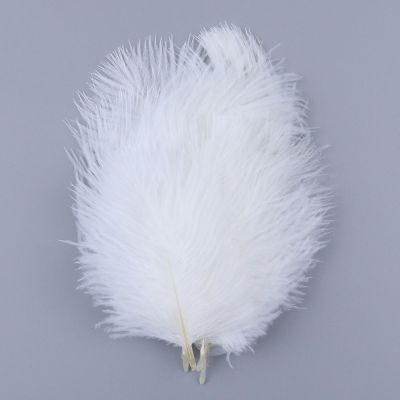 10pcs White Natural Ostrich Feathers For Crafts 5-30Cm Plumes Wedding Party Centerpiece Table Decorative Plumas Feathers Lamp