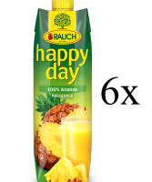 Rauch Happy Day Pineapple เร้าช์ แฮปปี้ เดย์ น้ำสับปะรดจากประเทศออสเตรีย (x6 กล่อง)