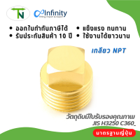 3151 ปลั๊กอุดหัวสี่เหลี่ยม (เกลียว NPT) ข้อต่อ ลม ประปา ไฮโดรลิค แก๊ส ต่อตรง ข้อต่อทองเหลือง