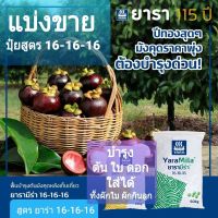 แบ่งขาย ปุ๋ยสูตร เสมอ16-16-16 นน. 1กิโลกรัม ตรายารามีร่า เร่งต้น เร่งใบ เร่งดอก เร่งผล ขนาด  1 กิโลกรัม