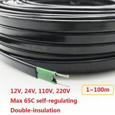 Chaunceybi 1 to 100m 12V 24V 110V 220V Pipe Anti-freeze Protection Heating Cable Roof Regulating Electric Wire