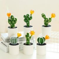 【cw】 Bonsai  Cactus Potted Ornaments Artificial