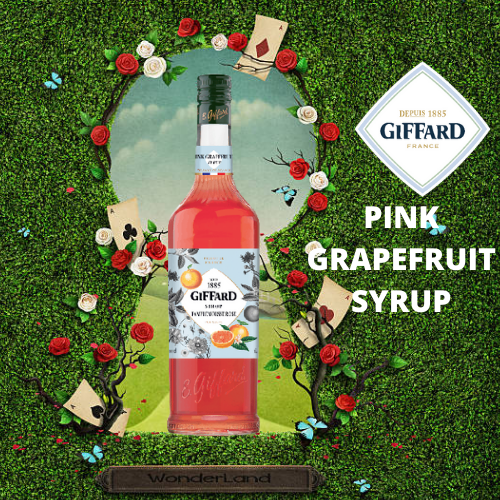 Giffard Pink Grapefruit Flavoring Syrup 1 Liter Lazada PH