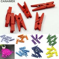 ❈♛♛ 20PCS Mini Colored Pin Craft Decoration Clips Pegs Wedding Decoration Wooden Clips For Photo Clips Clothespin Paper Peg