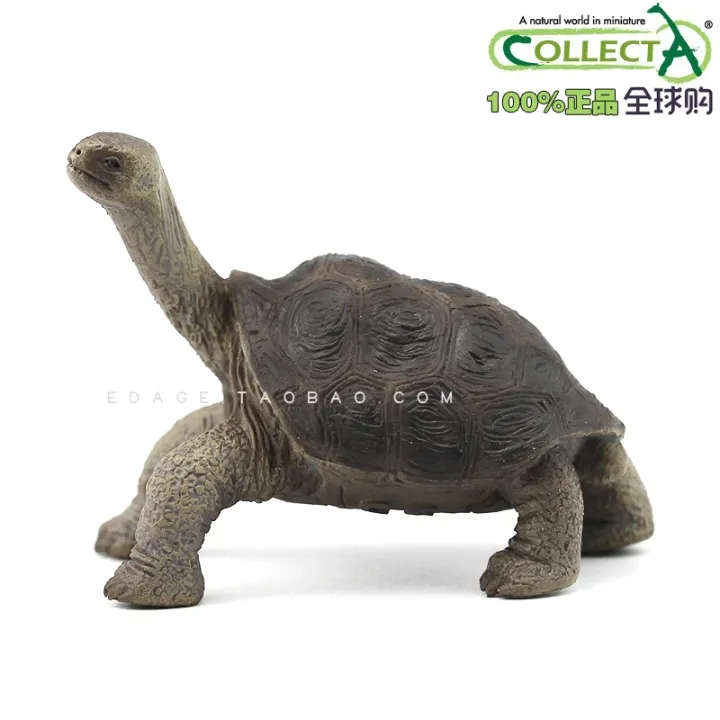 British Collecta I You He Simulates Wild Animals 88619 Galapagos ...