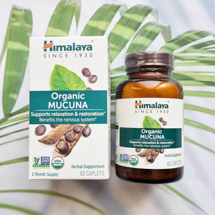 สารสกัดเมล็ดหมามุ่ยอินเดีย ออแกนิค Mucuna Certified USDA Organic 250mg ...