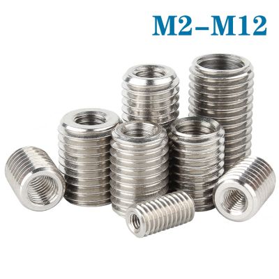 2-5Pc M2 M3 M4 M5 M6 M8 M10 M12 Inside Outside Thread Adapter Screw Nuts Insert Sleeve Converter Nut Coupler 304 Stainless Steel Nails Screws Fastener