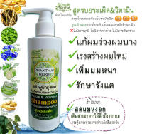 ผมร่วง ผมบาง รังแค ผมหงอก"แชมพูพันธุ์ไทยเฮิร์บ"(ปริมาณ250ml.)สูตรบอระเพ็ด[สมุนไพรเข้มข้นรวม7ชนิด]+โปร-วิตามิน