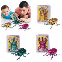 KGYJFK ซีเมนต์พลาสติก WIND UP Beetle ของเล่น ฟิกเกอร์แมลงเสมือนจริง น่ารักมากๆ สำหรับเด็กๆ