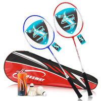 Professional Badminton Rackets Set 2pcs Family Couples Double Badminton Racquet Titanium Alloy Lightest Playing Badminton