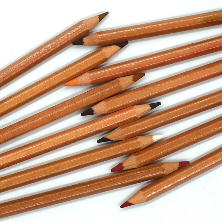 12-skin-color-sketch-colors-pencil-set-4mm-student-painting-creation-portable-professional-log-brush-art-supplies