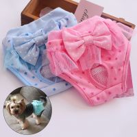 Pet Dog Shorts Sanitary Physiological Pants Washable Cotton Pet Briefs Diapers Female Dog Menstruation Panties Underwear Briefs Clothing Shoes Accesso