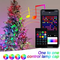 ZZOOI RGBIC Smart Bluetooth LED String Light USB App Control Garland Christmas Tree Decoration Waterproof Fairy Light Party Birthday