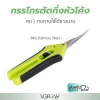 [พร้อมส่ง]⭐⭐[ส่งฟรี] กรรไกรตัดกิ่ง หัวโค้ง สเตนเลส Scissor Curved Blade Stainless Steel กรรไกรทริมหัวโค้งจัดส่งฟรีมีเก็บปลายทาง