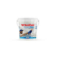 WorldShield สีทาฝ้า Crystal Cool ขนาด 3.5 ลิตร